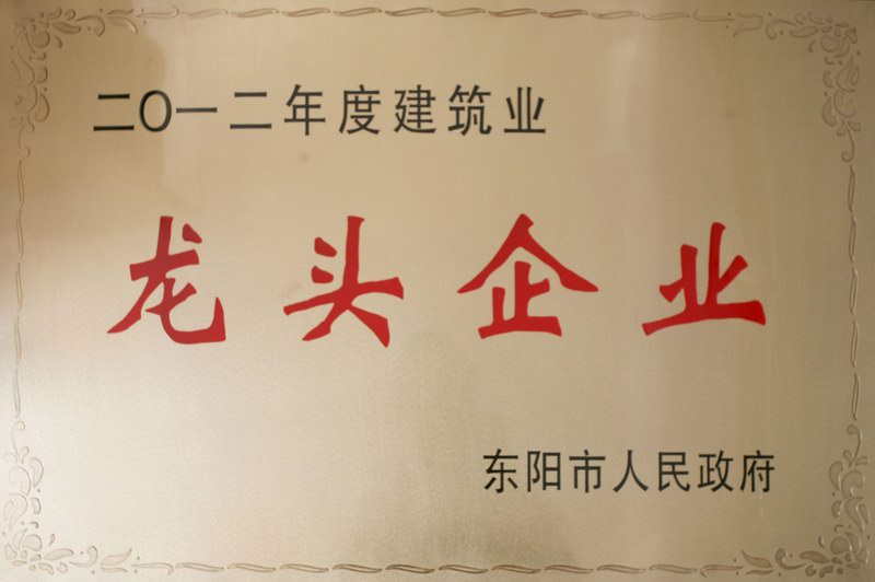 浙江新東陽(yáng)建設(shè)集團(tuán)有限公司